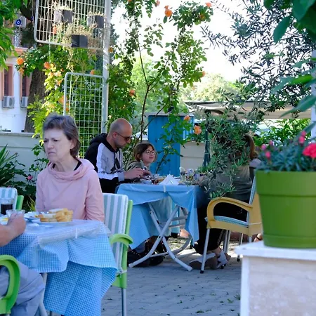 فندق مبيت وإفطار The Cotton House 4*