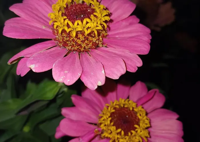 The Cotton House 4* Pamukkale